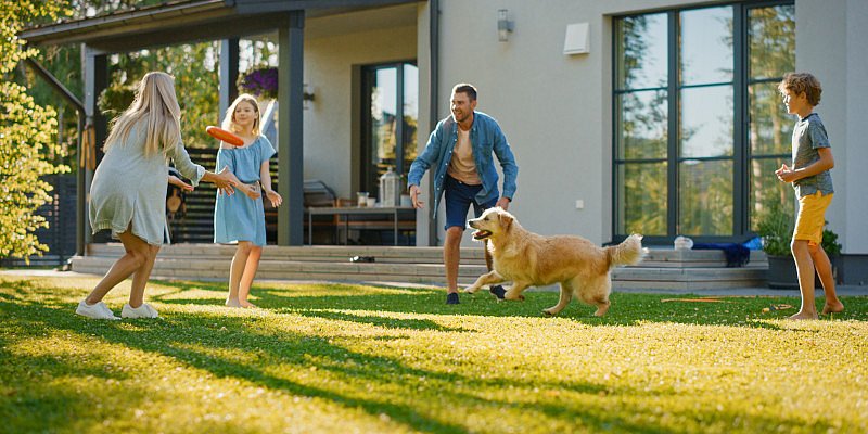 Familie spielt im sattgrünen Garten